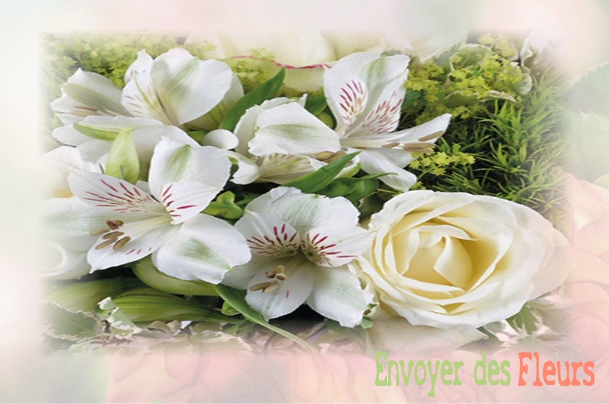 envoyer des fleurs à à VILLENEUVE-D-ASCQ